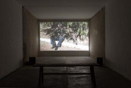 Eloise Sweetman mail@eloisesweetman.com