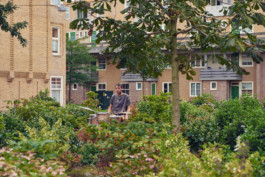 Eloise Sweetman mail@eloisesweetman.com