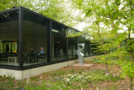 Eloise Sweetman mail@eloisesweetman.com