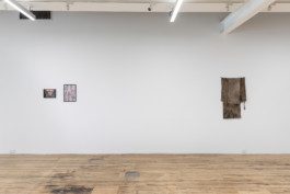 Eloise Sweetman mail@eloisesweetman.com