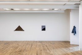 Eloise Sweetman mail@eloisesweetman.com