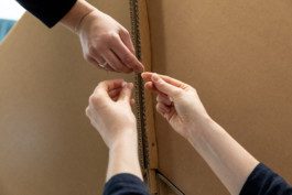 Eloise Sweetman mail@eloisesweetman.com