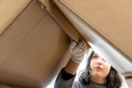 Eloise Sweetman mail@eloisesweetman.com