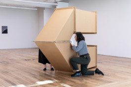 Eloise Sweetman mail@eloisesweetman.com