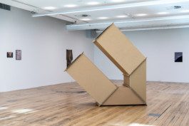 Eloise Sweetman mail@eloisesweetman.com