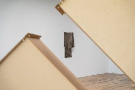 Eloise Sweetman mail@eloisesweetman.com