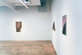 Eloise Sweetman mail@eloisesweetman.com