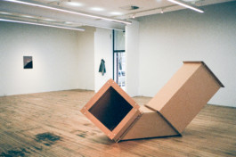 Eloise Sweetman mail@eloisesweetman.com