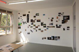 Eloise Sweetman mail@eloisesweetman.com