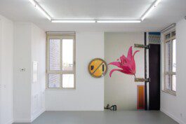 Eloise Sweetman mail@eloisesweetman.com