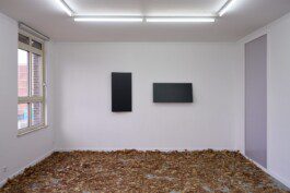 Eloise Sweetman mail@eloisesweetman.com