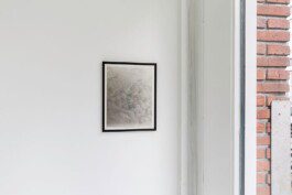 Eloise Sweetman mail@eloisesweetman.com