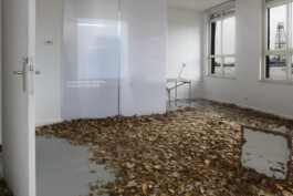 Eloise Sweetman mail@eloisesweetman.com