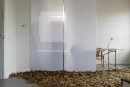 Eloise Sweetman mail@eloisesweetman.com