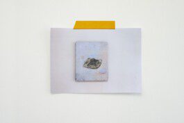 Eloise Sweetman mail@eloisesweetman.com