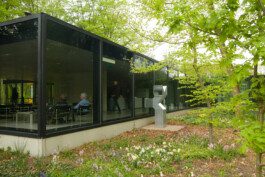 Eloise Sweetman mail@eloisesweetman.com