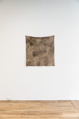 Eloise Sweetman mail@eloisesweetman.com