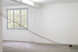 Eloise Sweetman mail@eloisesweetman.com