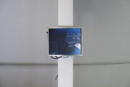 Eloise Sweetman mail@eloisesweetman.com