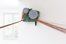 Eloise Sweetman mail@eloisesweetman.com