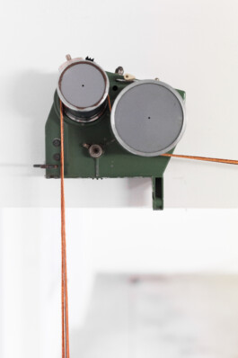 Eloise Sweetman mail@eloisesweetman.com