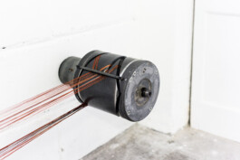 Eloise Sweetman mail@eloisesweetman.com