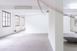 Eloise Sweetman mail@eloisesweetman.com