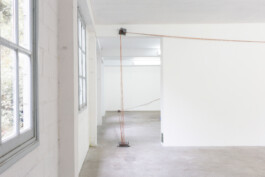 Eloise Sweetman mail@eloisesweetman.com