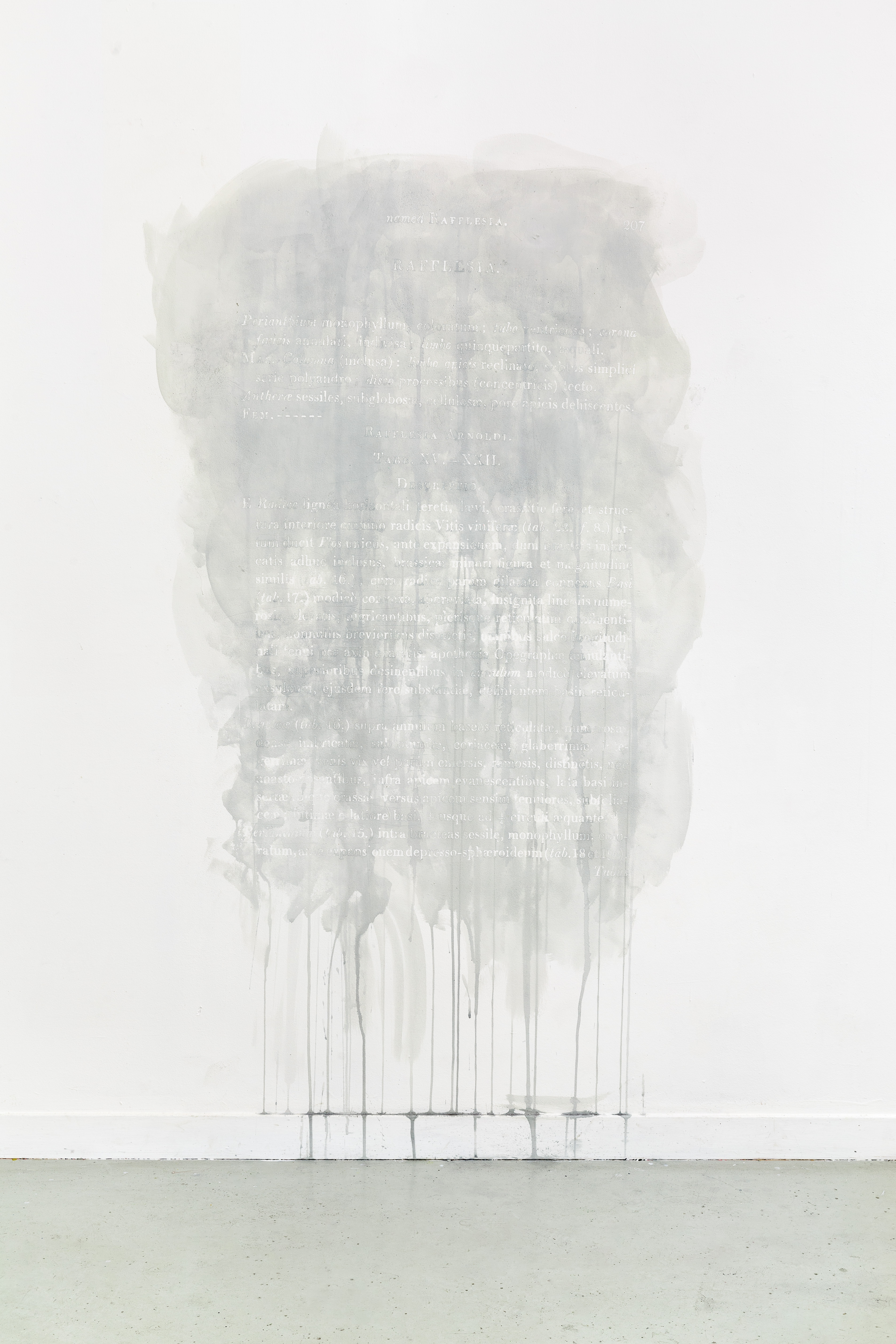 Eloise Sweetman mail@eloisesweetman.com